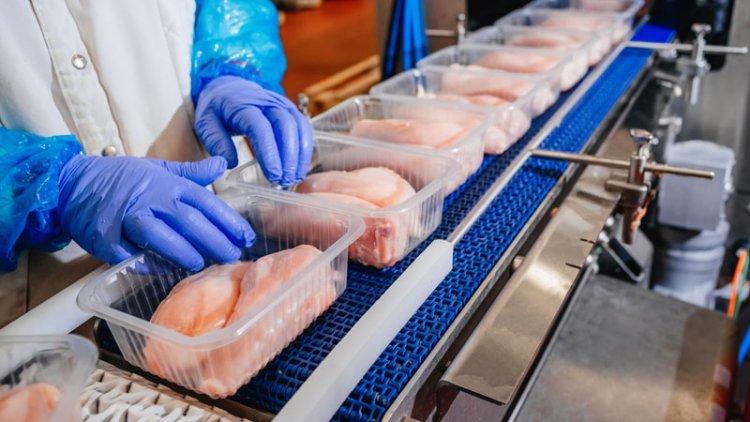 Türkiye: Zam yapan tavuk üreticilerine karşı tavuk eti ihracatı durduruldu