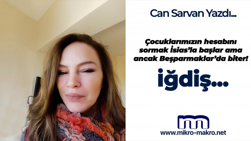 https://www.mikro-makro.net/igdis