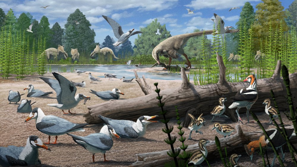 https://www.mikro-makro.net/kuslarin-dinozorlarin-yaninda-yuva-yaptiklari-belirlendi