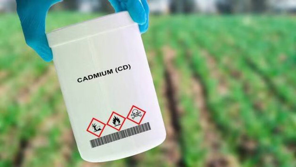 https://www.mikro-makro.net/cocuklar-ozellikle-risk-altinda-gunluk-besinlerde-kadmiyum-uyarisi