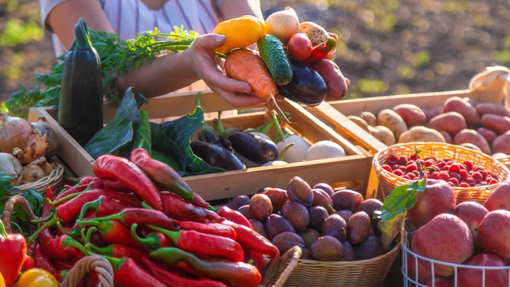 AB genelinde hangi ülke, hangi sebze ve meyveyi üretiyor?