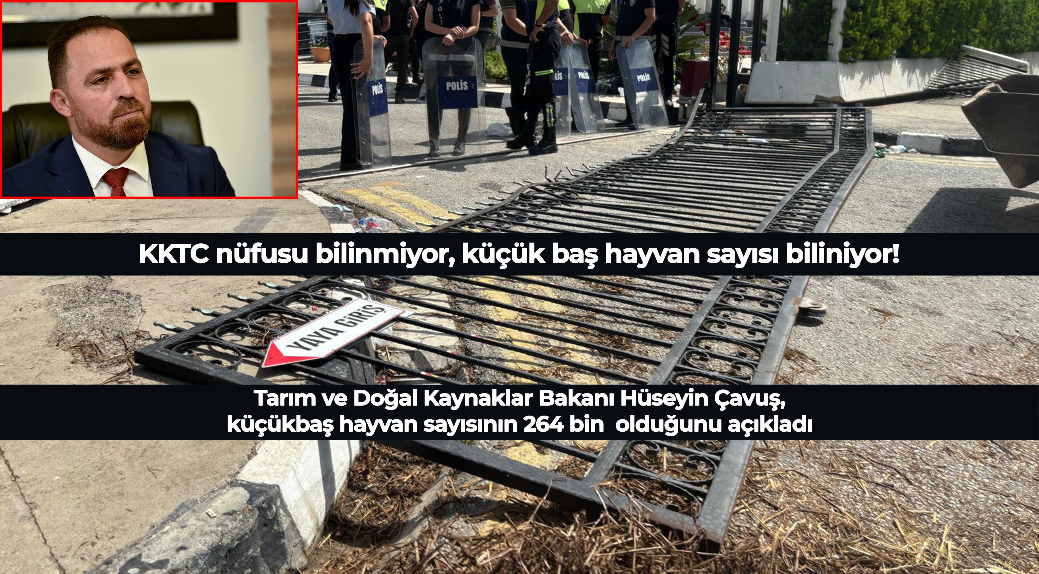KKTC nüfusu bilinmiyor, küçük baş hayvan sayısı biliniyor