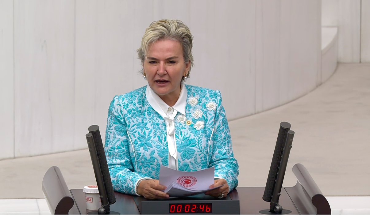 Kıbrıslı Türk hayvan üreticilerinin eylemi TBMM’de selamlandı