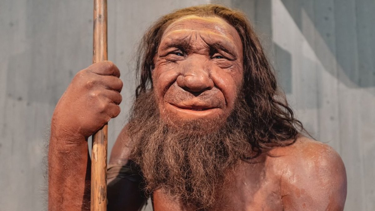 Bilimsel araştırma Neandertallerin neden soylarının tükendiğine yeni bir kanıt buldu
