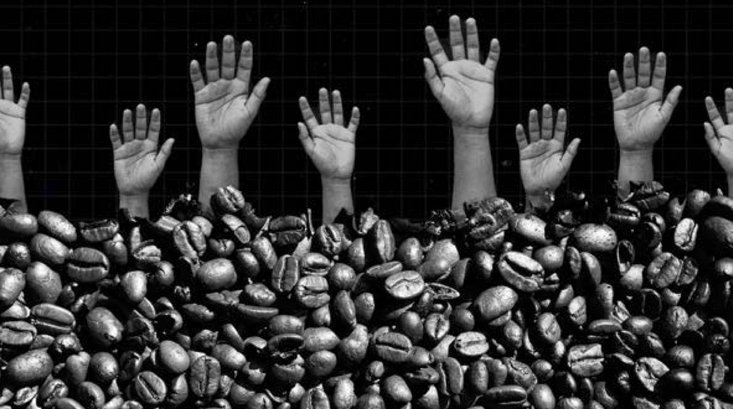 Starbucks’a kölelik ve insan ticareti davası açıldı