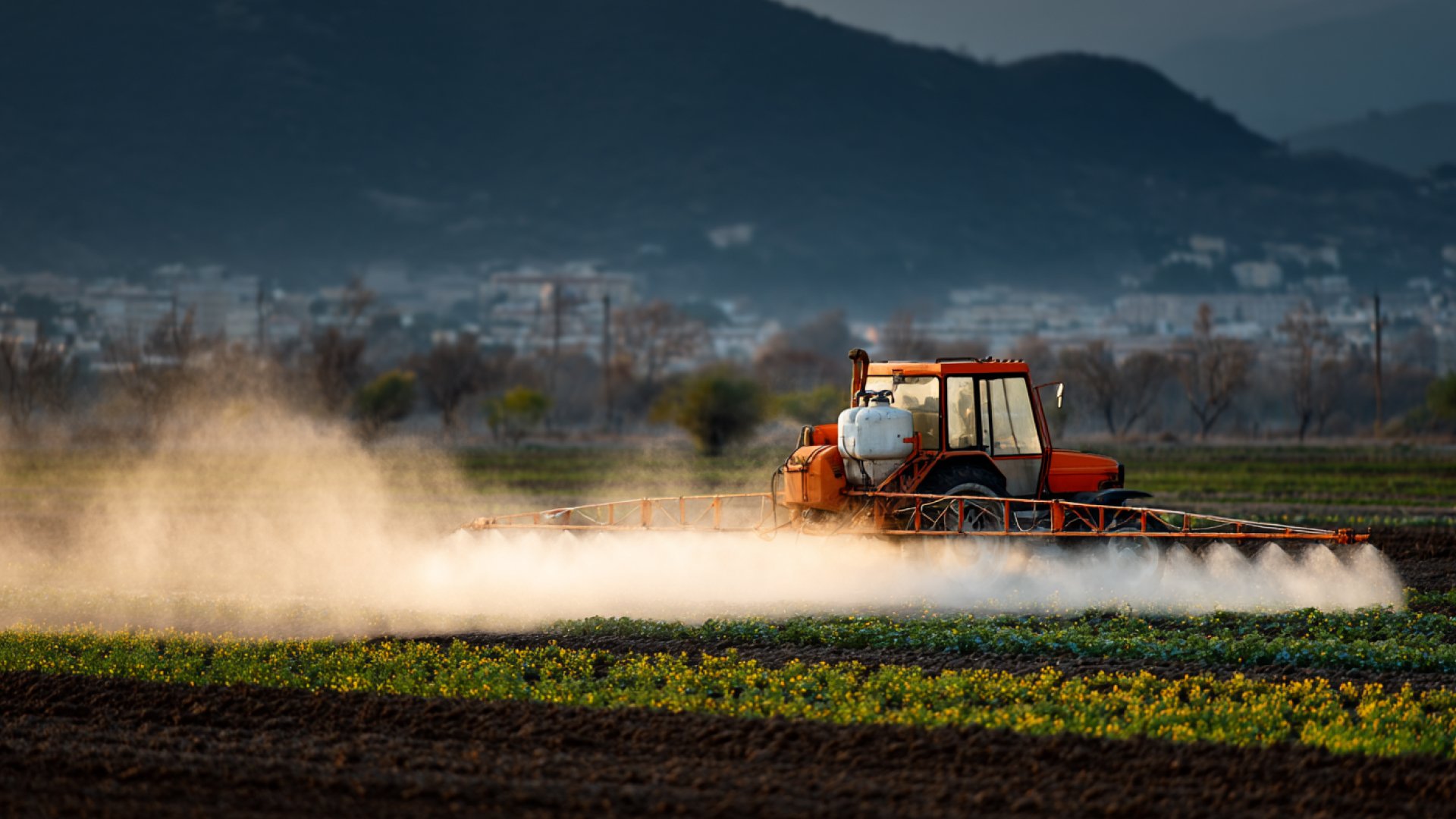 Bilimsel araştırma: Yaygın tarım ilaçları erkek üreme sağlığını sessizce tehdit ediyor 