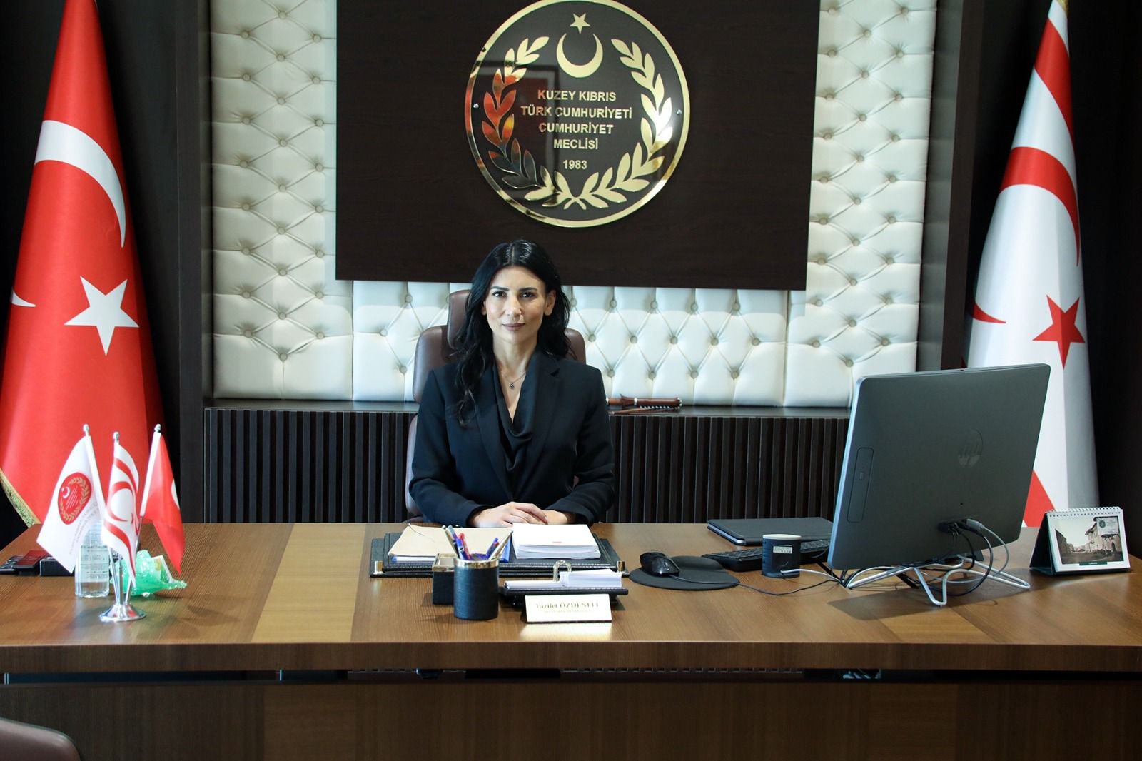 '2025 yılının ilk 10 ayında 879 şiddet şikâyeti polis kayıtlarına geçti'